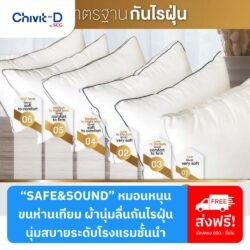 Cover_Safe&sound_pillow